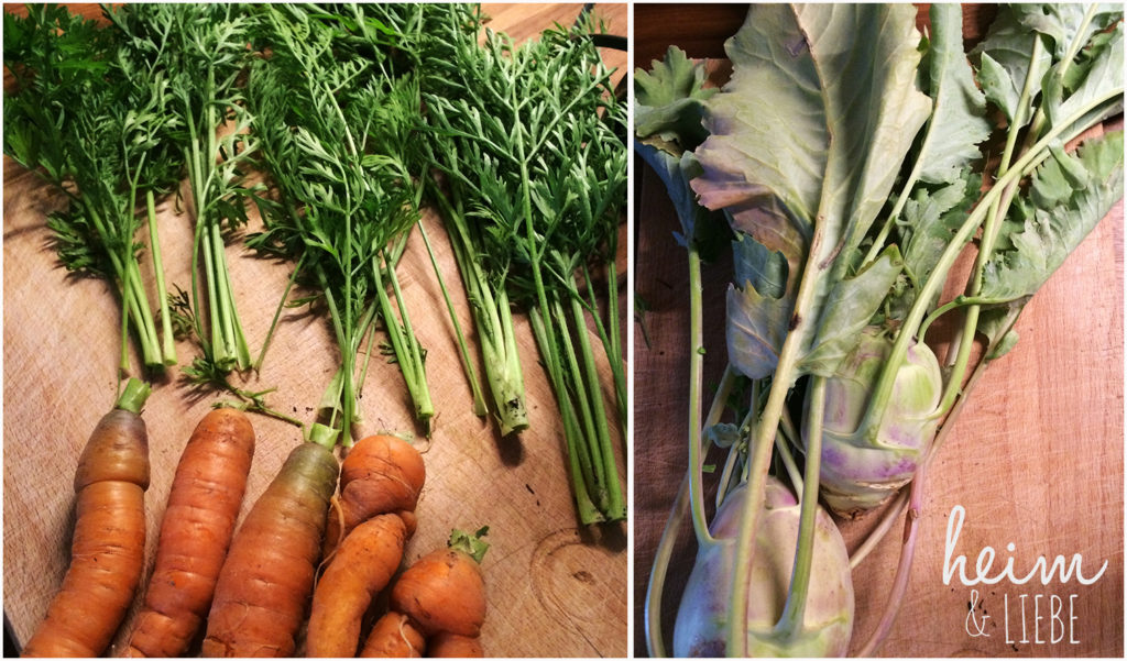 Karottenkraut und Möhrenblätter als Zutat für grüne Smoothie